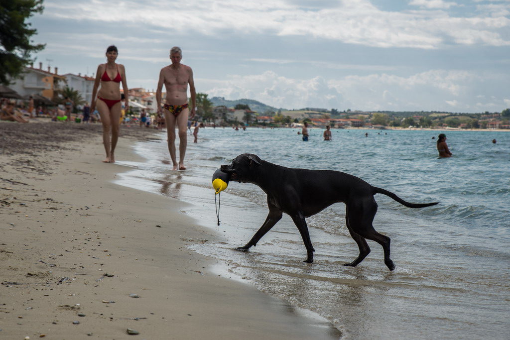 Marta pliva i uživa na moru 